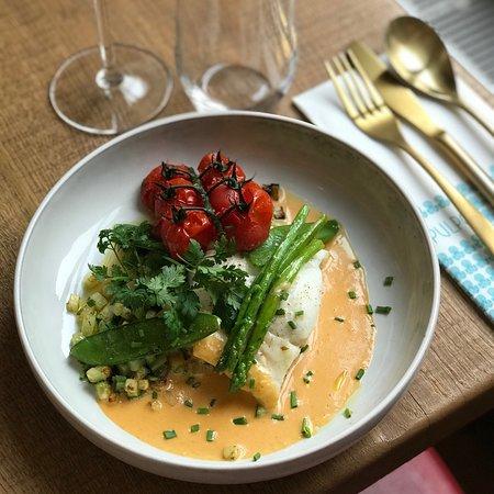 Pulpo 2 Gent-centrum